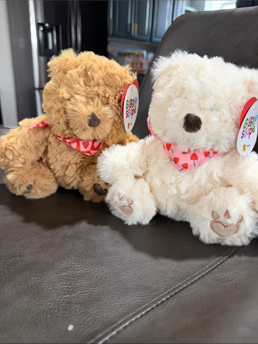 Cuddly Heart-Scarf Plush Bear - Cream (Right)
